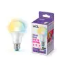 WiZ Smart LED E27 Pera Ghiaccio 8W 806lm | Miglior Resa Cromatica - Dimmerabile - Sostitutiva 60W