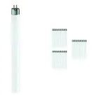 Confezione Multipack 25x Philips MASTER Super 80 T5 Short 8W - 830 Luce Calda | 29cm